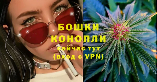 мдпв Горнозаводск