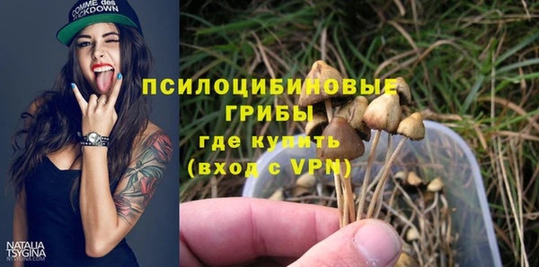 мдпв Горнозаводск