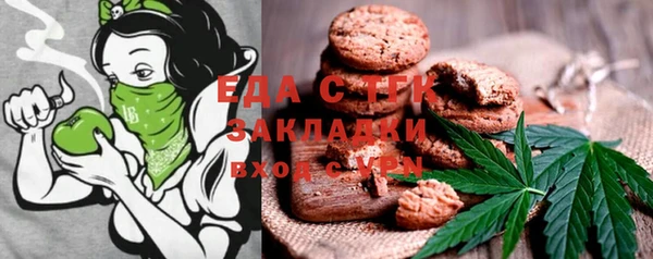 мдпв Горнозаводск