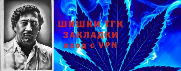 2c-b Горняк